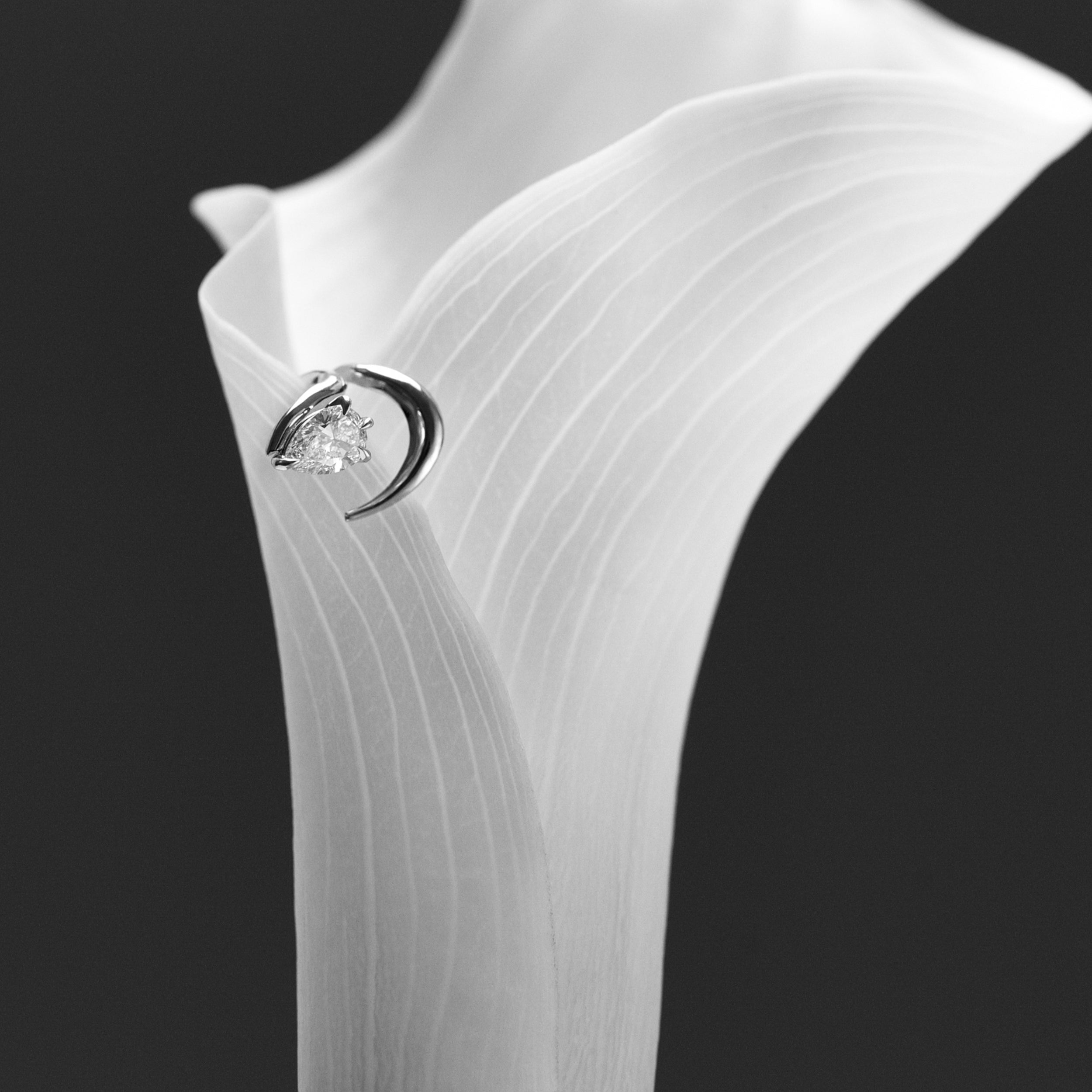 Diamond ring on a white calla lily against a black background