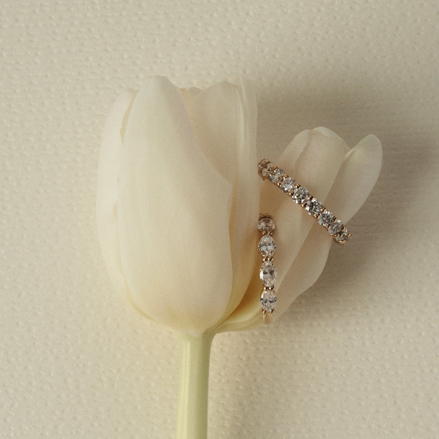 Pair of diamond wedding bands on a white tulip against a beige background