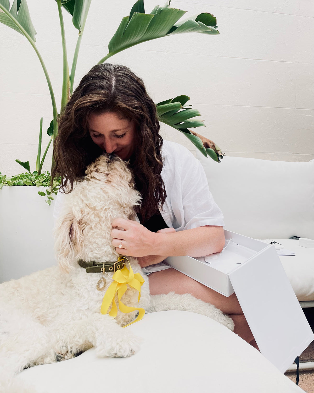 Woman embraces a poodle with a yellow ribbon and dog tag, sitting on a white sofa with lush plants in the background.